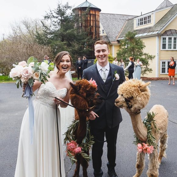 Meet your Posher, Mackenzie - Picture 1 of 2